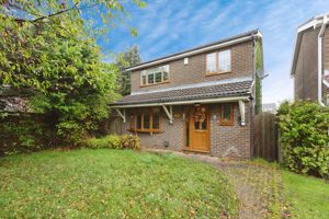 Photo 3- click for photo gallery